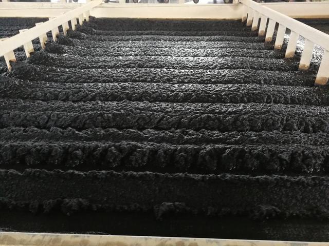 固體廢物污泥中含有細沙,化學纖維,動植物殘體等固態顆粒物以及