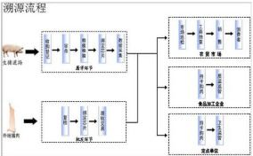 豬肉溯源系統(tǒng)軟件設計與開發(fā)解決方案 構筑食品安全數(shù)字防線