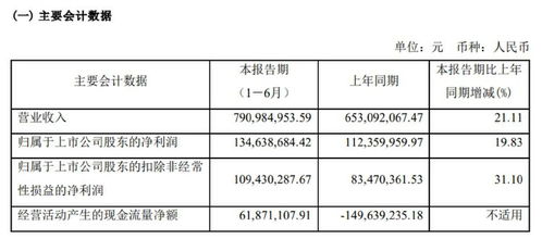 研發(fā)投入縮減揭示行業(yè)挑戰(zhàn) 中科藍(lán)訊半年報(bào)映射IC設(shè)計(jì)業(yè)深層困境